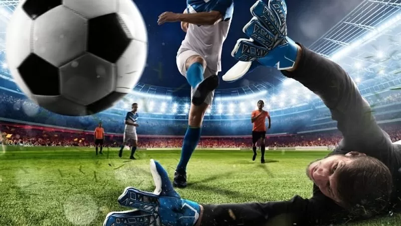 Bỏ t&uacute;i kinh nghiệm chơi nắm vững th&ocirc;ng tin về đội b&oacute;ng